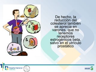 De hecho, la reducción del colesterol también se aprecia en varones, que no tenemos receptores estrogénicos beta, salvo en el utrículo prostático 