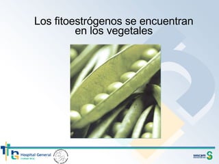 Los fitoestrógenos se encuentran en los vegetales 