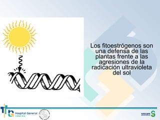Los fitoestrógenos son una defensa de las plantas frente a las agresiones de la radicación ultravioleta del sol 