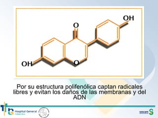 Por su estructura polifenólica captan radicales libres y evitan los daños de las membranas y del ADN 