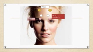 POLO
SENO
FRONTAL
CEJA