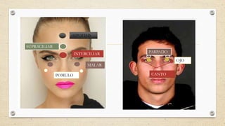 HIPOFISIS
SUPRACILIAR
INTERCILIAR
OJO
PARPADO
CANTO
MALAR
POMULO