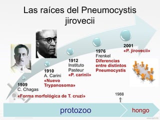 Las raíces del Pneumocystis
jirovecii
1988
 