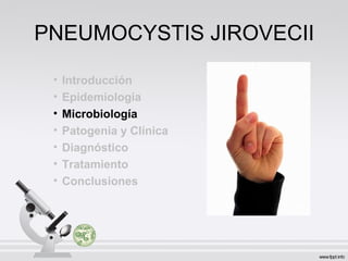 PNEUMOCYSTIS JIROVECII
• Introducción
• Epidemiologia
• Microbiología
• Patogenia y Clínica
• Diagnóstico
• Tratamiento
• Conclusiones
 