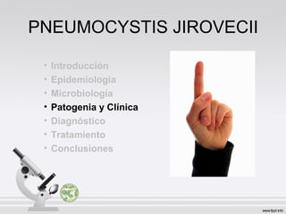 PNEUMOCYSTIS JIROVECII
• Introducción
• Epidemiologia
• Microbiología
• Patogenia y Clínica
• Diagnóstico
• Tratamiento
• Conclusiones
 