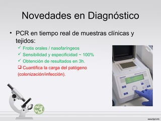 Novedades en Diagnóstico
• PCR en tiempo real de muestras clínicas y
tejidos:
 Frotis orales / nasofaríngeos
 Sensibilidad y especificidad ~ 100%
 Obtención de resultados en 3h.
 Cuantifica la carga del patógeno
(colonización/infección).
 