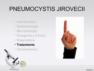 PNEUMOCYSTIS JIROVECII
• Introducción
• Epidemiologia
• Microbiología
• Patogenia y Clínica
• Diagnóstico
• Tratamiento
• Conclusiones
 