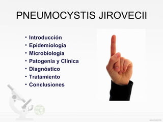 PNEUMOCYSTIS JIROVECII
• Introducción
• Epidemiologia
• Microbiología
• Patogenia y Clínica
• Diagnóstico
• Tratamiento
• Conclusiones
 