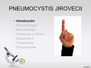 PNEUMOCYSTIS JIROVECII
• Introducción
• Epidemiologia
• Microbiología
• Patogenia y Clínica
• Diagnóstico
• Tratamiento
• Conclusiones
 