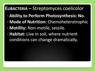 Archaeabacteria and Eubacteria Sample Species (Methanospirillum 