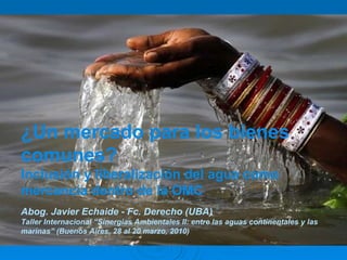 ¿Un mercado para los bienes comunes? Inclusión y liberalización del agua como mercancía dentro de la OMC Abog. Javier Echaide - Fc. Derecho (UBA) Taller Internacional “Sinergias Ambientales II: entre las aguas continentales y las marinas” (Buenos Aires, 28 al 20 marzo, 2010) 