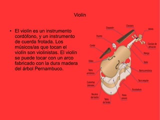 Violín 
● El violín es un instrumento 
cordófono, y un instrumento 
de cuerda frotada. Los 
músicos/as que tocan el 
violín son violinistas. El violín 
se puede tocar con un arco 
fabricado con la dura madera 
del árbol Pernambuco. 
 