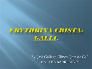 By: Javi Gallego Ulines “Jota de Ge” 3ºA  I.E.S BARRI BESÒS 