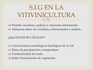 S.I.G EN LA
        VITIVINICULTURA
                             
 Permite visualizar, analizar y relacionar información .
 Almacena datos: de vendimia, enfermedades y análisis.

¿Qué DATOS SE UTILIZAN?

   Características morfológicas fisiológicas de la vid
   Datos de precipitación y temperatura.
   Conductividad del suelo.
   Índice Normalizado de vegetación.
 
