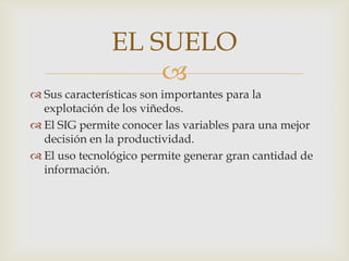 EL SUELO
                   
 Sus características son importantes para la
  explotación de los viñedos.
 El SIG permite conocer las variables para una mejor
  decisión en la productividad.
 El uso tecnológico permite generar gran cantidad de
  información.
 