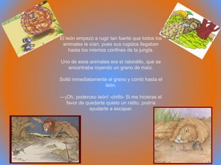 El león empezó a rugir tan fuerte que todos los
animales le oían, pues sus rugidos llegaban
hasta los mismos confines de la jungla.
Uno de esos animales era el ratonállo, que se
encontraba royendo un grano de maíz.
Soltó inmediatamente el grano y corrió hasta el
león.
—¡Oh, poderoso león! -chilló- Si me hicieras el
favor de quedarte quieto un ratito, podría
ayudarte a escapar.
 