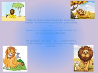El león se sentía ya tan exhausto que permaneció
tumbado mirando cómo el ratón roía las cuerdas de la
red.
Apenas podía creerlo cuando, al cabo de un rato, se
dio cuenta de que estaba libre.
-Me salvaste la vida, ratón —dijo—. Nunca volveré a
burlarme de las promesas hechas por los amigos
pequeños.
 