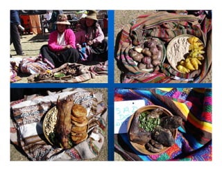 Factores preponderantes para la conservación de la Variabilidad de papas nativas en las comunidades campesinas de Amaru, Chahuaytire y Viacha – Pisac – Cusco