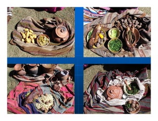 Factores preponderantes para la conservación de la Variabilidad de papas nativas en las comunidades campesinas de Amaru, Chahuaytire y Viacha – Pisac – Cusco