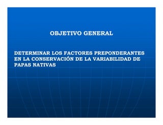 Factores preponderantes para la conservación de la Variabilidad de papas nativas en las comunidades campesinas de Amaru, Chahuaytire y Viacha – Pisac – Cusco