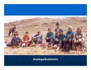 Factores preponderantes para la conservación de la Variabilidad de papas nativas en las comunidades campesinas de Amaru, Chahuaytire y Viacha – Pisac – Cusco
