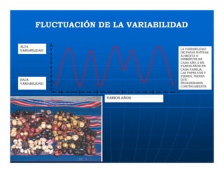 Factores preponderantes para la conservación de la Variabilidad de papas nativas en las comunidades campesinas de Amaru, Chahuaytire y Viacha – Pisac – Cusco