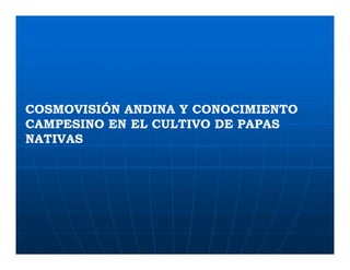 Factores preponderantes para la conservación de la Variabilidad de papas nativas en las comunidades campesinas de Amaru, Chahuaytire y Viacha – Pisac – Cusco