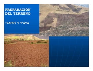 Factores preponderantes para la conservación de la Variabilidad de papas nativas en las comunidades campesinas de Amaru, Chahuaytire y Viacha – Pisac – Cusco