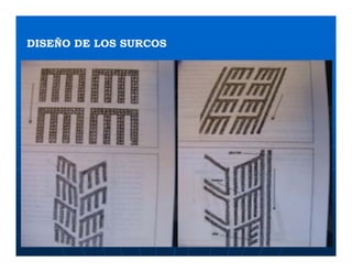 Factores preponderantes para la conservación de la Variabilidad de papas nativas en las comunidades campesinas de Amaru, Chahuaytire y Viacha – Pisac – Cusco