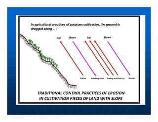 Factores preponderantes para la conservación de la Variabilidad de papas nativas en las comunidades campesinas de Amaru, Chahuaytire y Viacha – Pisac – Cusco