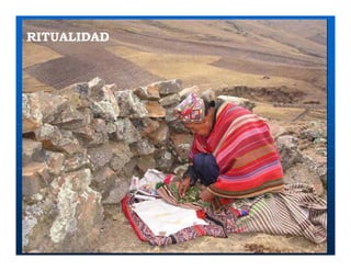 Factores preponderantes para la conservación de la Variabilidad de papas nativas en las comunidades campesinas de Amaru, Chahuaytire y Viacha – Pisac – Cusco