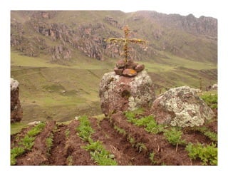 Factores preponderantes para la conservación de la Variabilidad de papas nativas en las comunidades campesinas de Amaru, Chahuaytire y Viacha – Pisac – Cusco