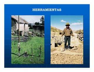 Factores preponderantes para la conservación de la Variabilidad de papas nativas en las comunidades campesinas de Amaru, Chahuaytire y Viacha – Pisac – Cusco