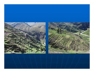 Factores preponderantes para la conservación de la Variabilidad de papas nativas en las comunidades campesinas de Amaru, Chahuaytire y Viacha – Pisac – Cusco