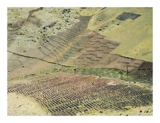 Factores preponderantes para la conservación de la Variabilidad de papas nativas en las comunidades campesinas de Amaru, Chahuaytire y Viacha – Pisac – Cusco