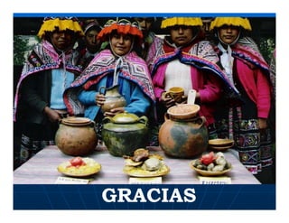 Factores preponderantes para la conservación de la Variabilidad de papas nativas en las comunidades campesinas de Amaru, Chahuaytire y Viacha – Pisac – Cusco
