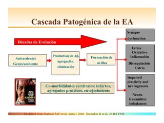 Cascada Patogénica de la EA
                                                                               Synapse
                                                                               dysfunction
  Décadas de Evolución
                                                                                 Estrés
                                                                                 Oxidativo
                         Production de Aβ,          Formación de                Inflamación
 Antecedentes
                             agregación,               ovillos
Genes/ambiente                                                                 Disregulación
                             eliminación                                           Calcio

                                                                               Impaired
                                                                               plasticity and
                     Co-morbilidades cerebrales: infartos,                     neurogenesis
                      agregados proteicos, envejecimiento
                                                                                  Neuro-
                                                                                transmitter
                                                                                imbalances

      Modified from Mattson MP, et al. Nature 2004 Snowdon D et al JAMA 1996                    11
 