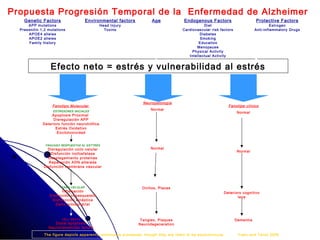 Propuesta Progresión Temporal de la Enfermedad de Alzheimer
    Genetic Factors                       Environmental factors            Age               Endogenous Factors                       Protective Factors
       A PP mutations                             Head Inj ury                                         Di et                                   Estrogen
  Pres enili n 1, 2 m utations                      Toxins                                  Cardiovascular risk factors               Anti-inflamm atory Drugs
       APOE4 alleles                                                                                 Diabetes
       APOE2 alleles                                                                                 S mok ing
       Family history                                                                               Education
                                                                                                   Menopause
                                                                                                 Physical Activity
                                                                                               Intellectual Acti vity


                     Efecto neto = estrés y vulnerabilidad al estrés


                                                                      Neuropatología
                      Fenotipo M olecular                                                                              Fenotipe clínico
                      ESTRESORES INICIALES
                                                                           Normal
                                                                                                                           Norm al
                    Apoptosis Proxim al
                     Disregulac ión APP
                Deterioro función neurotróf ica
                       Estrés Oxidati vo
                       E xcitotoxici dad


                 FRACASO RESPUESTAS AL ESTTRÉS
                  Di sregulación ciclo celul ar                            Normal
                                                                                                                           Norm al
                    Disfunción i nofosfatasa
                  Desplegami ento proteinas
                  Reparaci ón A DN alterada
                Disfunción membrana vascular




                           DAÑO CELULAR                               Ovil los, Placas
                            Inflamación                                                                           Deteri oro c ogni tivo
                    Disfunci ón citoesqueleto                                                                             leve
                     Di sf uncción sináptica
                       Daño mitocondri al



                           CELL DEATH                                Tangles, Plaques                                     Dement ia
                      Distal apoptos is                             Neurodegeneration
                   Neurotransmitter fail ure

                 T he figure depicts apparent ly continuous processes, t hough they are l ikely to be asynchronous .        Yaari and T ariot 2008
 
