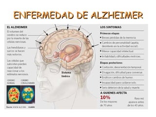 ENFERMEDAD DE ALZHEIMER
-   Inicio insidioso y progresión lenta, con una evolución media de unos 8 ó 10 años
    desde el inicio hasta la muerte.
-   Período preclínico: errores puntuales de memoria, sin otros déficits.
-   Posteriormente, alteración de la memoria reciente y de la capacidad de
    aprendizaje.
-   Con el transcurso de la enfermedad, también acaba afectándose la memoria
    remota.
-   Se van sumando alteraciones del lenguaje y trastornos práxicos y visuo-
    espaciales, agnosia visual.
-   Síntomas secundarios (apatía, abulia, agitación, irritabilidad, conductas
    desinhibitorias, depresión, ideas delirantes...).
-   Fases muy avanzadas: signos extrapiramidales.
-   Estado vegetativo, muerte (que suele ser una enfermedad interrecurrente, sobre
    todo infecciones).

FACTORES DE RIESGO:
Edad avanzada.
Sexo (+ en mujeres).
Existencia de daño cerebral agudo previo (AVC, tx).
Enf. Cardiovascular.
Síndrome de Down.
Mutaciones en el gen de la apolipoproteína E4 (Apo-E4)
 
