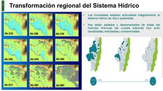 AMBIENTE, Instituto Distrital de Gestión de Riesgos y Cambio Climático - IDIGER
•  Los humedales estaban articulados integralmente al
sistema hídrico de ríos y quebradas
•  Hoy están asilados y desconectados de todas las
fuentes hídricas las cuales además han sido
canalizadas, entubadas y contaminadas
Transformación regional del Sistema Hídrico
 