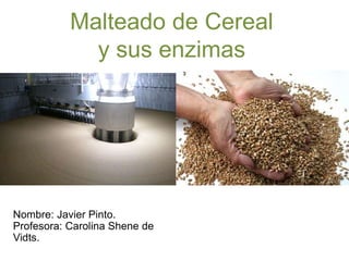 Malteado de Cereal 
y sus enzimas 
Nombre: Javier Pinto. 
Profesora: Carolina Shene de 
Vidts. 
 
