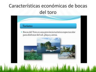 Características económicas de bocas
               del toro
 