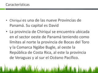 Características


• Chiriquí es una de las nueve Provincias de
  Panamá. Su capital es David
• La provincia de Chiriquí se encuentra ubicada
  en el sector oeste de Panamá teniendo como
  límites al norte la provincia de Bocas del Toro
  y la Comarca Ngäbe Bugle, al oeste la
  República de Costa Rica, al este la provincia
  de Veraguas y al sur el Océano Pacífico.
 