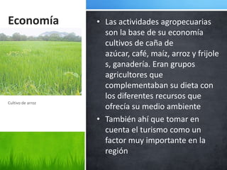 Economía           • Las actividades agropecuarias
                     son la base de su economía
                     cultivos de caña de
                     azúcar, café, maíz, arroz y frijole
                     s, ganadería. Eran grupos
                     agricultores que
                     complementaban su dieta con
                     los diferentes recursos que
Cultivo de arroz
                     ofrecía su medio ambiente
                   • También ahí que tomar en
                     cuenta el turismo como un
                     factor muy importante en la
                     región
 