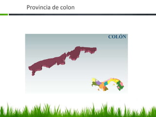 Provincia de colon
 