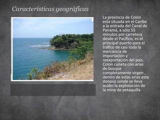 Características geográficas
                              La provincia de Colón
                              esta situada en el Caribe
                              a la entrada del Canal de
                              Panamá, a sólo 55
                              minutos por carretera
                              desde el Pacífico, es el
                              principal puerto para el
                              tráfico de casi toda la
                              mercancía de
                              importación y
                              reexportación del país.
                              Colon cuneta con arias
                              de bosque
                              completamente virgen ,
                              dentro de estas arias esta
                              donoso sonde se lleva
                              acabo la explotación de
                              la mina de petaquilla
 