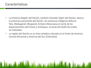 Características


• La histórica Región del Darién, también llamada Tapón del Darién, abarca
  la provincia panameña del Darién, las comarcas indígenas deKuna
  Yala, Madugandí, Wargandí, Emberá-Wounaany el norte de los
  departamentos del Chocó y Antioquia, al oeste del Golfo de Urabá,
  en Colombia.
• La región del Darién es un área selvática ubicada en el límite de América
  Central (Panamá) y América del Sur (Colombia)
 
