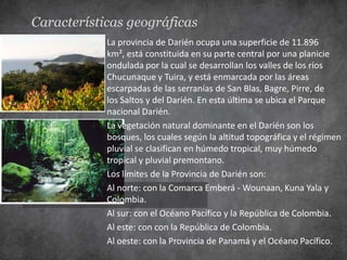 Características geográficas
            La provincia de Darién ocupa una superficie de 11.896
            km², está constituida en su parte central por una planicie
            ondulada por la cual se desarrollan los valles de los ríos
            Chucunaque y Tuira, y está enmarcada por las áreas
            escarpadas de las serranías de San Blas, Bagre, Pirre, de
            los Saltos y del Darién. En esta última se ubica el Parque
            nacional Darién.
            La vegetación natural dominante en el Darién son los
            bosques, los cuales según la altitud topográfica y el régimen
            pluvial se clasifican en húmedo tropical, muy húmedo
            tropical y pluvial premontano.
            Los límites de la Provincia de Darién son:
            Al norte: con la Comarca Emberá - Wounaan, Kuna Yala y
            Colombia.
            Al sur: con el Océano Pacífico y la República de Colombia.
            Al este: con con la República de Colombia.
            Al oeste: con la Provincia de Panamá y el Océano Pacífico.
 