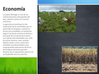 Economía
La capital Santiago es uno de los
centros bancarios más grandes del
país, además cuenta con muchos
comercios.
La agricultura constituye la más
importante de las actividades que se
desarrolla en Veraguas, cuando las
tierras son arrendadas, el campesino
paga el uso de las mismas en dinero y
con parte de la cosecha de la tierra.
Los cultivos más extendidos son: caña
de azúcar, banano, maíz, naranja,
plátano verde y arroz. Como otra
actividad muy desarrollada y que
ocupa grandes extensiones de tierra
de Veraguas presentan grandes
llanuras que se aprovechan para la cría
se de ganado vacuno y porcino.
 