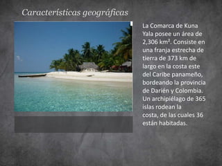 Características geográficas
                              La Comarca de Kuna
                              Yala posee un área de
                              2,306 km². Consiste en
                              una franja estrecha de
                              tierra de 373 km de
                              largo en la costa este
                              del Caribe panameño,
                              bordeando la provincia
                              de Darién y Colombia.
                              Un archipiélago de 365
                              islas rodean la
                              costa, de las cuales 36
                              están habitadas.
 